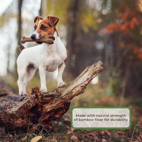 Spot Ethical Pets 54316 Bambone Bone Chicken Pet Chew Toys