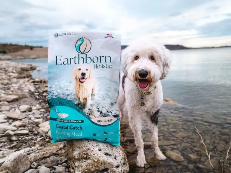 Earthborn Holistic Coastal Catch Dry Dog Food - with Herring Protein - Grain Free - Made in USA, 25 lb