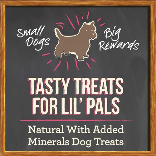 Merrick Lil Plates Small Salmon Recipe Grain Free Small Breed Dog Treats - 5 oz. Pouch
