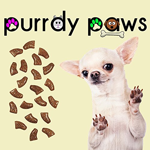 Purrdy Paws 40 Pack Soft Nail Caps For Dog Claws Gold Holographic Glitter X-Large