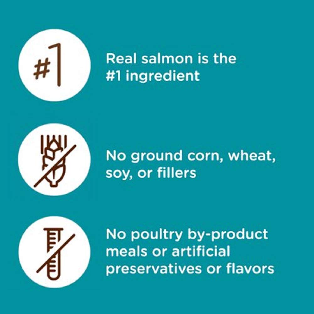 Rachael Ray Nutrish Premium Natural Dry Cat Food, Real Salmon & Brown Rice Recipe, 6 Pounds (Packaging May Vary)