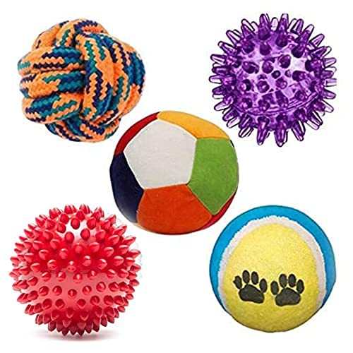 Dog Trust Puppy 5 in 1 Combo  Rattle | Tennis | Squeaky LED | Spike Red Hard | Cotton Combo of Dog Toys|