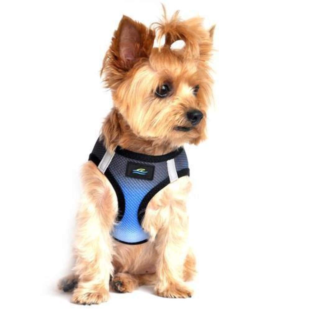 American River Dog Harness Ombre Collection - Midnight Sky XL