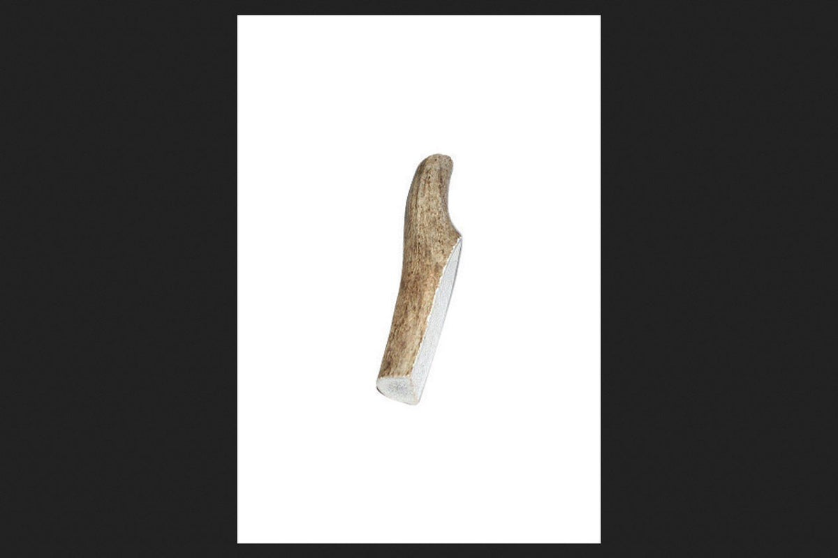 Buckybites Antler Dog Treat Chews Medium Antler Stick