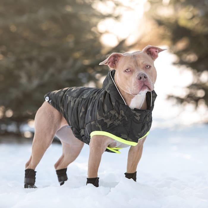 Gf Pet Recycled Parka Dog Coat – Earth-Friendly Waterproof Dog Jacket | Warm Lining, Classic Style | Outwear For Small Medium Large Dogs – Camouflage - 4Xl