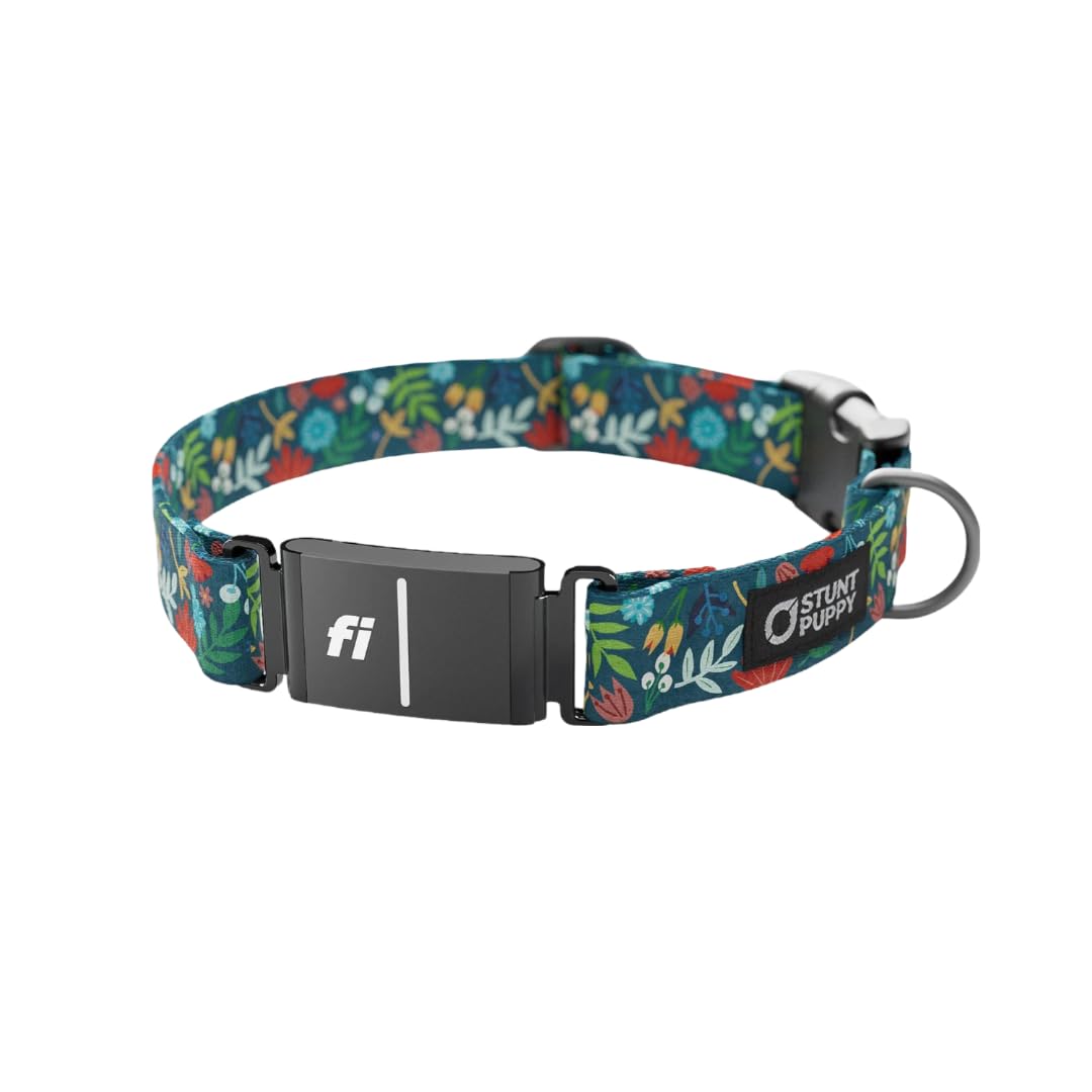 Stunt Puppy Dog Collar, Fi Series 3 Ready, Frolic Fall, Large - Compatible With Fi Gps Device (Not Included)