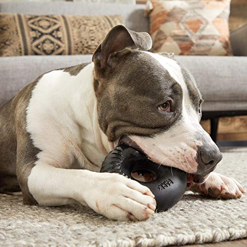 Barkbox Super Chewer Tough Dog Chew Toys For Aggressive Chewers, Dental Stimulating (Radius - Large)