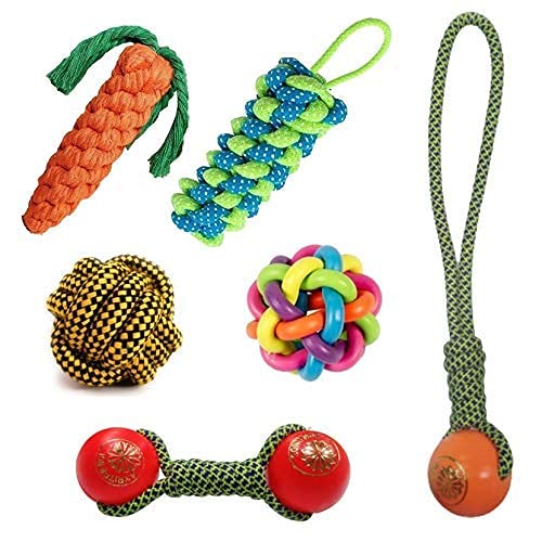 PSK PET MART Combo of 6 Cute Toys for Small/Medium Dogs  Plastic Handle Ball | Dummy | Rainbow Ball | Plastic Ball Dumble | Car