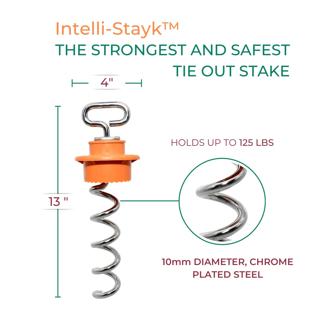 Intellileash Intelli-Stayk 4" Diameter Dog Leash with Surface-Lock Technology, Orange-Silver, Model 76071