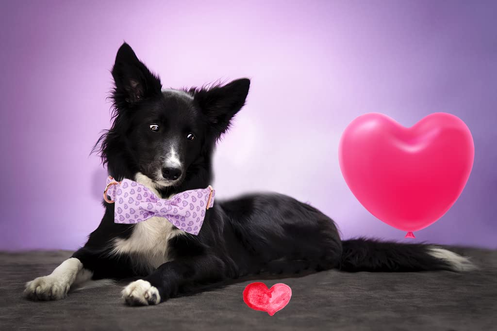 Elegant Little Tail Valentine'S Day Dog Collar With Bow, American Flag Bow Tie Dog Collar, Cute Heart Dog Bowtie Pet Gift Dog Collar For Small Dogs