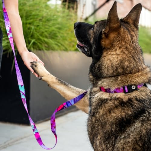 Wolfgang Heavy Duty Martingale Dog Collar With Quick Release Nylon Buckle For Walking & Training, Daydream Print, Large