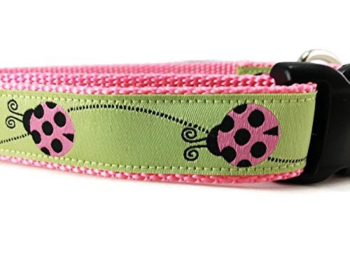 Ladybug Dog Collar, Caninedesign, Green, Pink, 1 Inch Wide, Adjustable, Nylon, Medium And Large (Small 9-13)
