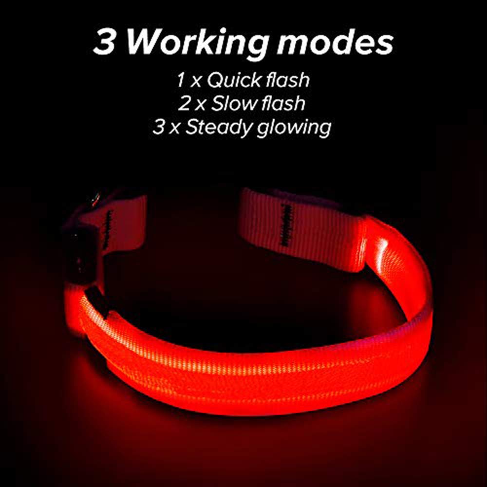 Illumifun Led Dog Collar Usb Rechargeable Glowing Pet Collar Light, Adjustable Light Up Dog Collars Make Your Dogs Safe& Seen At Night (Red, Small)
