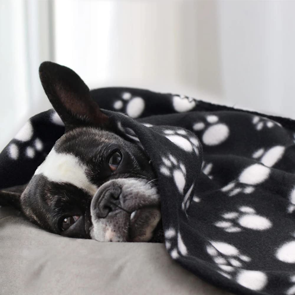 Eagmak Cute Dog Cat Fleece Blankets With Paw Prints For Kitten Puppy And Small Animals Pack Of 6 (Black, Brown, Blue, Grey, Red And White)