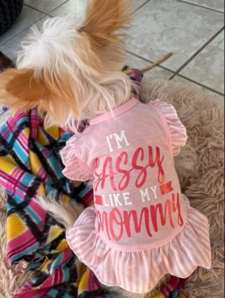 Xpudac 4 Pieces Pet Dog Dress Shirt Puppy Skirt Cute Doggie Dress Dog Summer Clothes Dog Apparel For Small Dogs And Cats (Pink Angel, Xx-Small(1-2 Lbs))