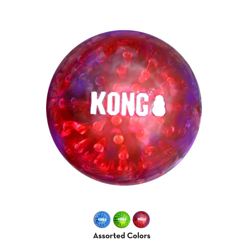 KONG Squeezz Geodz Squeaker Ball Dog Toy - Large, Multi-Color, Durable Wood Material, Model 38749422