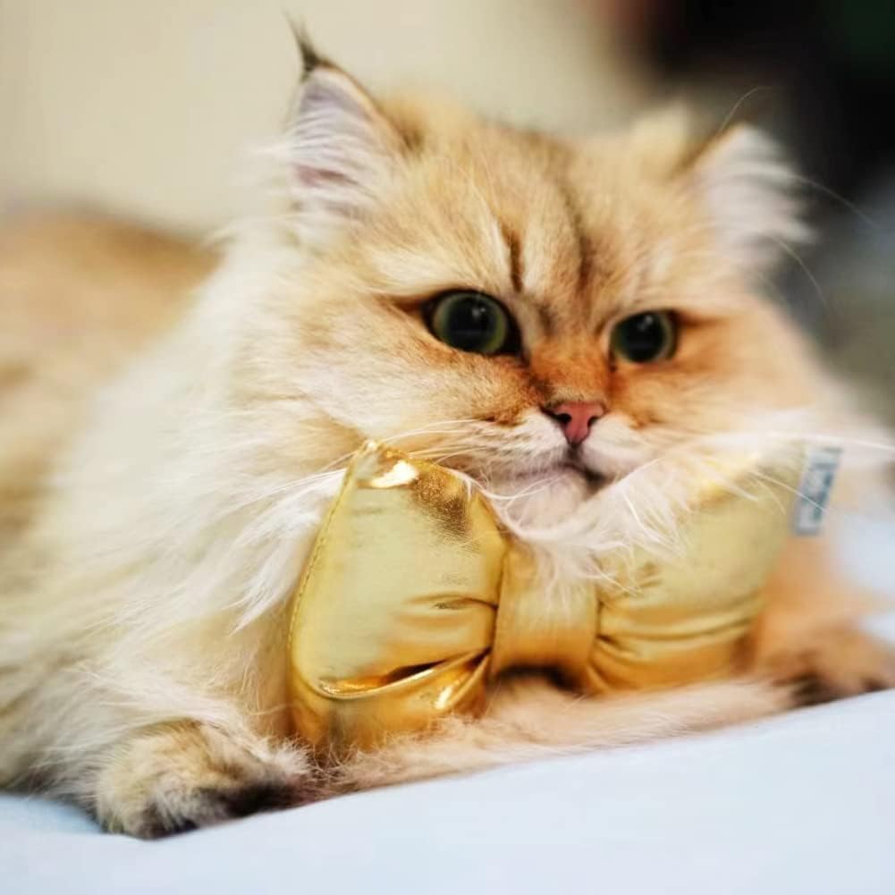 Dog Collar With Bowtie, Durable Detachable Adjustable And Comfortable Bow Tie Dog Collar For Small Dogs Puppies And Cats, Neck 9