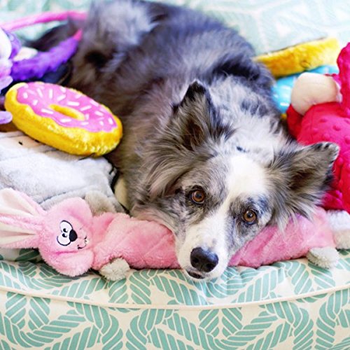 Zippypaws - Jigglerz Tough No Stuffing Squeaky Plush Dog Toy With Crinkle Head And Tail - Bunny