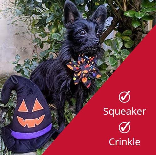 Huxley & Kent For Dogs | Witch Hat | Halloween Dog Toy With Squeaker | Funny Dog Toy Gift | Fun, Durable, And Safe | H&K Squeaky Dog