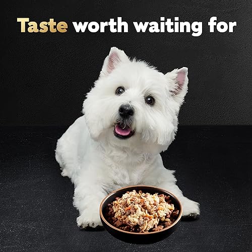 CESAR WHOLESOME BOWLS Adult Soft Wet Dog Food Beef, Chicken, Carrots, Barley & Green Beans Recipe, (10) 3 oz. Bowls