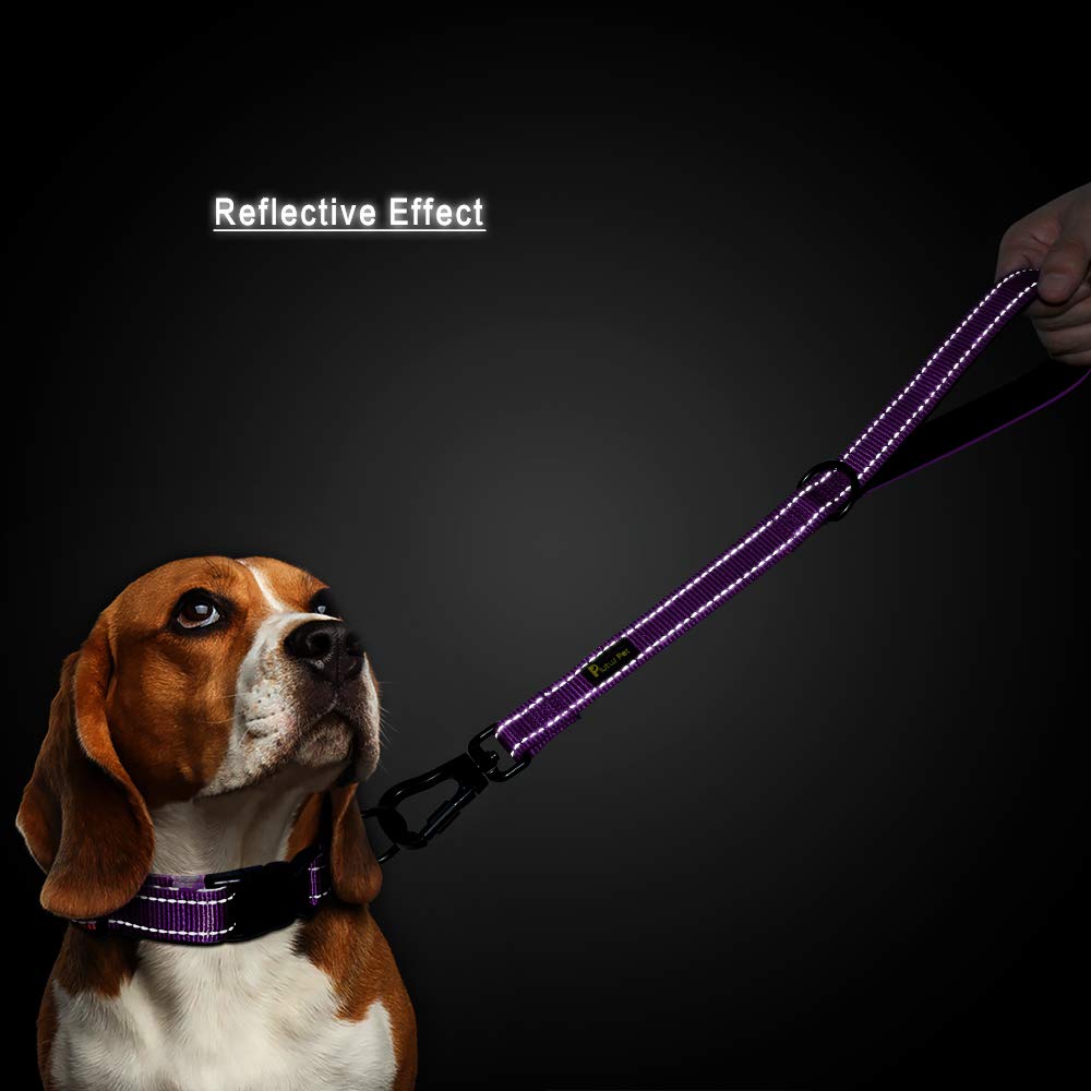 Plutus Pet Short Training Dog Leash With Padded Handle For Medium Large Big Dogs,18 Inch Heavy Duty Strong Traffic Leash With Carabiner Clip For Climbing Walking Or Guiding Blind (18',Purple)