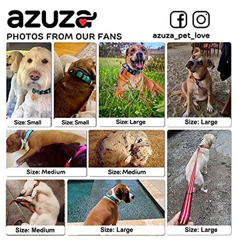 Zuza Dog Collar And Leash Set, Durable Padded & Reflective Strip, Super Comfy For Medium Dogs, Fluorescent Yellow