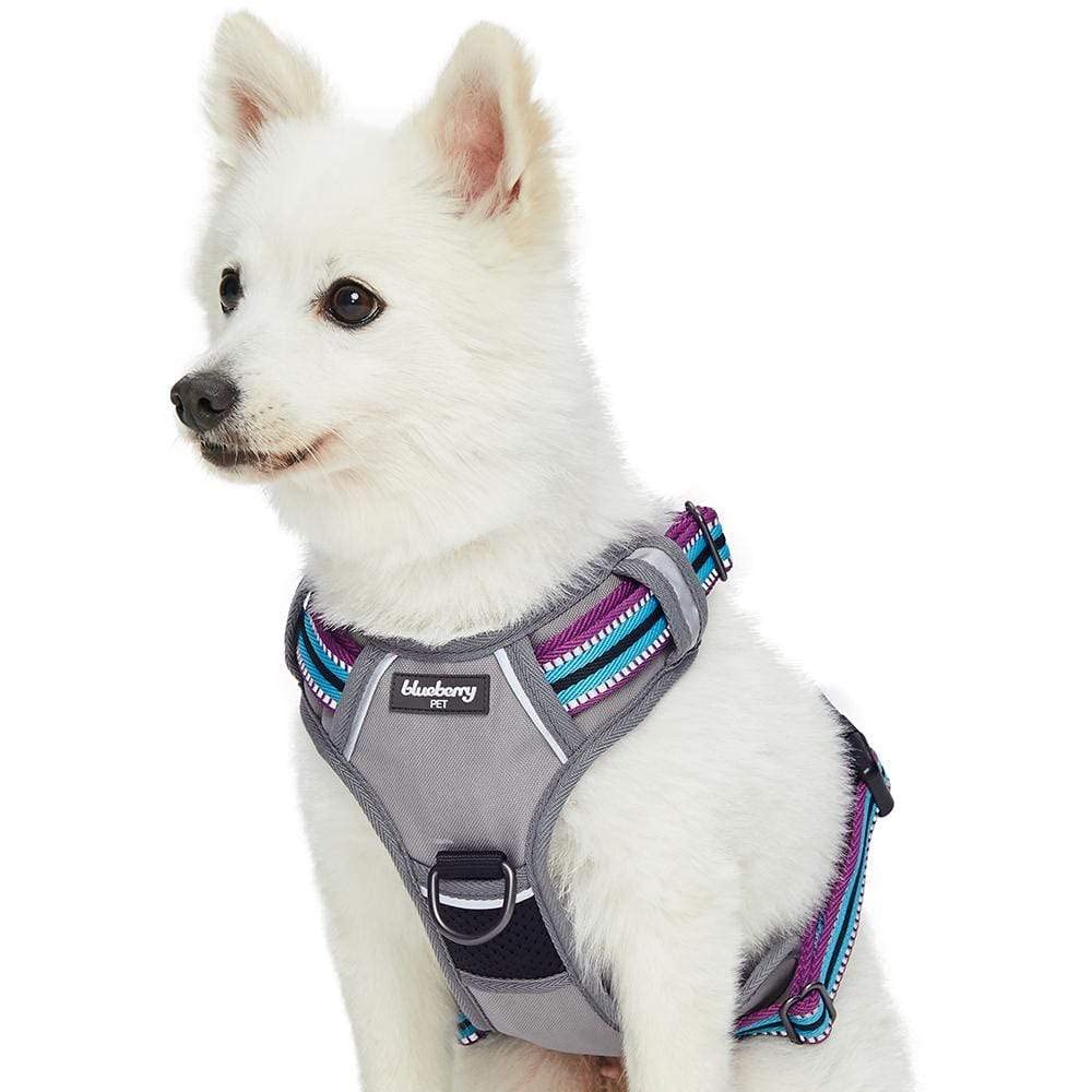 Blueberry Pet Soft & Comfy 3M Reflective Dog Harness Vest | Mesh Padded No Pull Dog Harness W/Front/Back Clips | Multi-Colored Stripe - Violet And River Blue | Reflective Dog Harness For Large Dogs