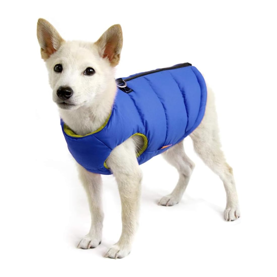 Gooby Padded Vest Dog Jacket - Solid Blue, Large - Warm Zip Up Vest Fleece Jacket With Dual D Ring Leash - Winter Water Resistan