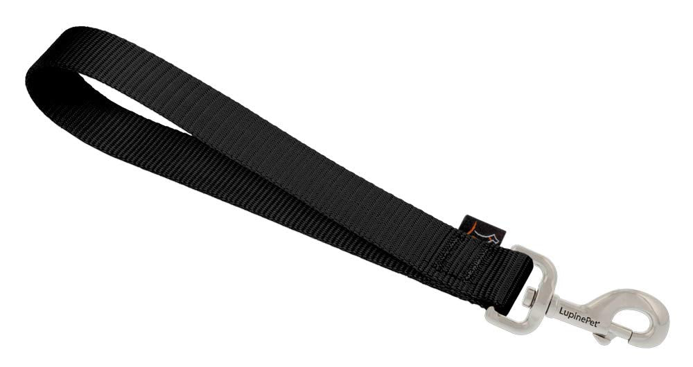 Training Tab by Lupine in 1 Wide Black for Medium and Larger Dogs