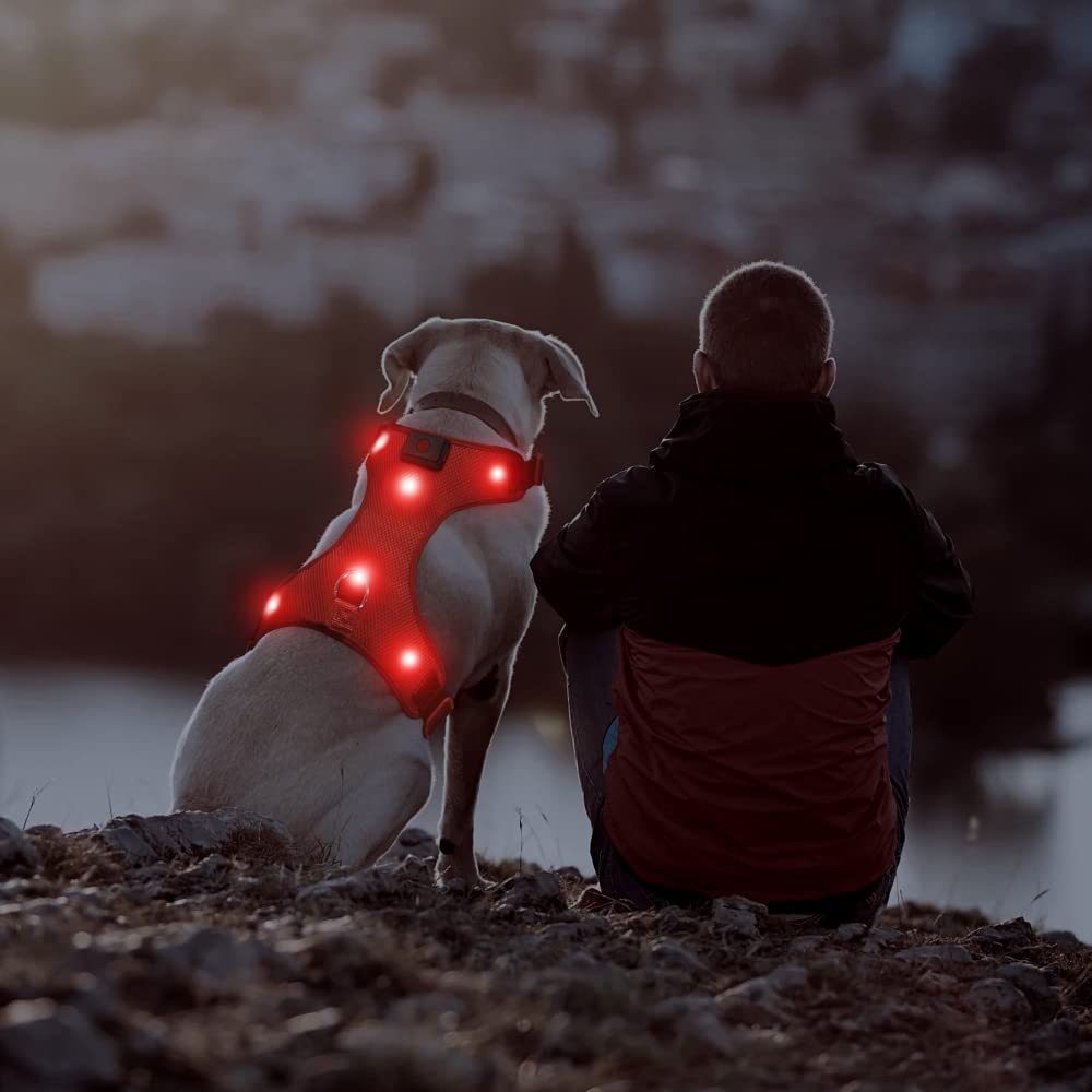DOMIGLOW Light Up Dog Harness - Rechargeable LED Dog Vest, No-Pull Glowing Safety Pet Harness Lights for Night Walking & Camping