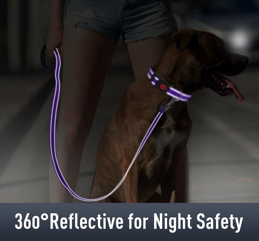 Erbine Airtag Dog Collar For Small Dogs, Reflective Dog Collars With Airtag Holder, Soft Padded & Safety Locking Buckle, Nylon Pet Collar Adjustable For All Breeds, Purple