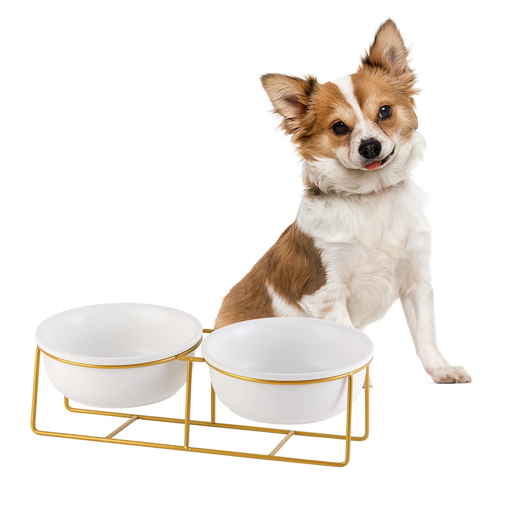 Small Double Elevated Dog Bowls - Raised Dog Bowl - Ceramic Dog Cat Bowl Set for Food and Water - Pet Comfort Feeding Bowls with