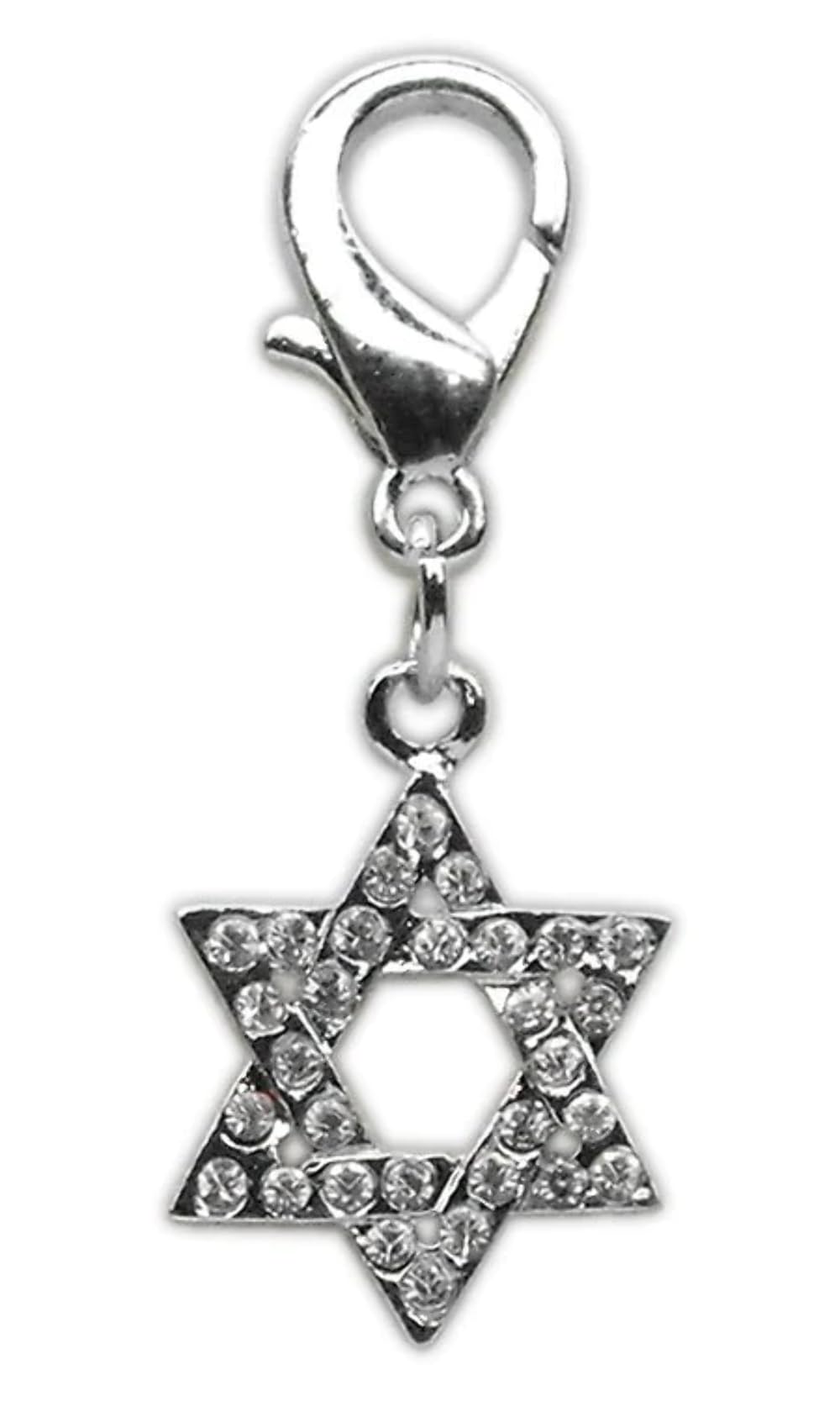 Lobster Claw Charm, &quot;Holiday Group&quot; *Choose from 6 different charms!* Star Of David