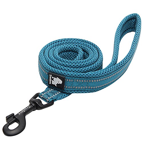 Creation Core Reflective Nylon Dog Collar And Training Leash Set For All Season Padded Durable Adjustable, Blue Xl