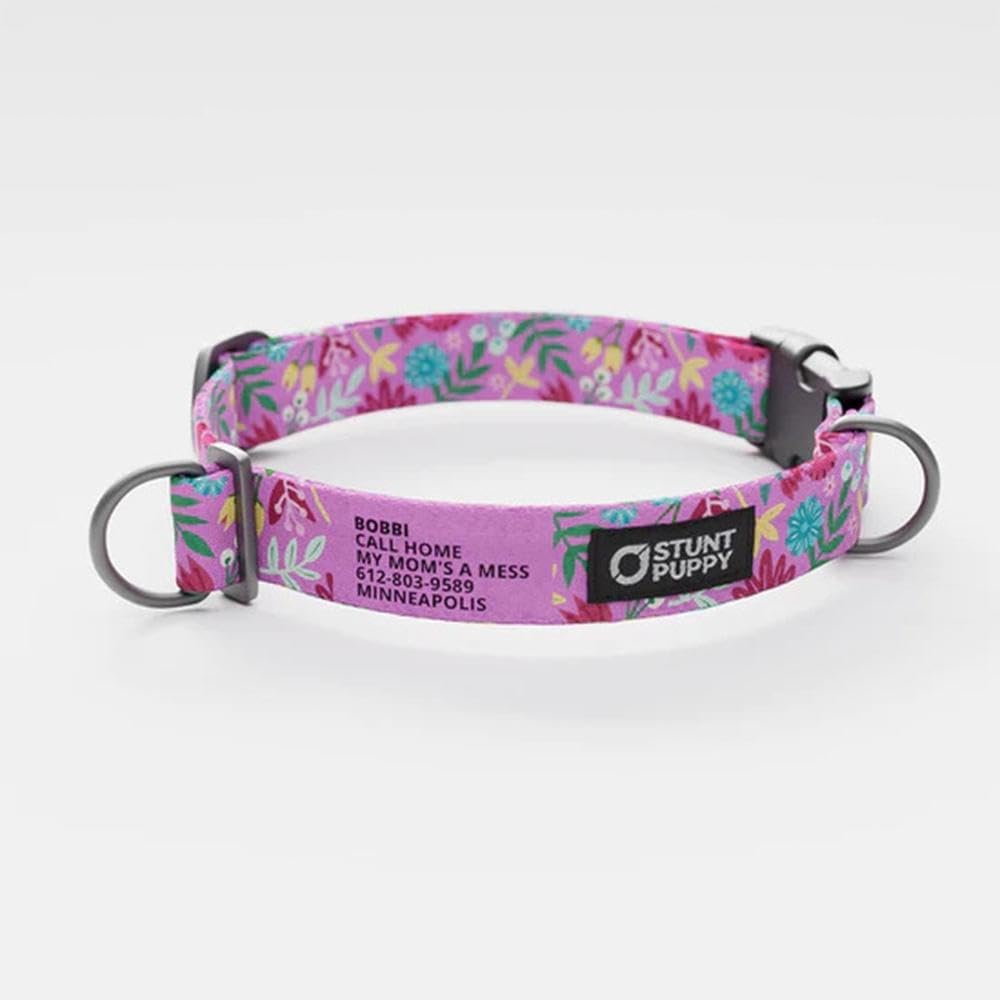 Frolic Summer Everyday Collar, Large