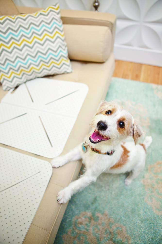 Mammoth Pet Products X-Mat Extra Pet Training Mat, Flexible, 18-Inch, Beige (60004F)