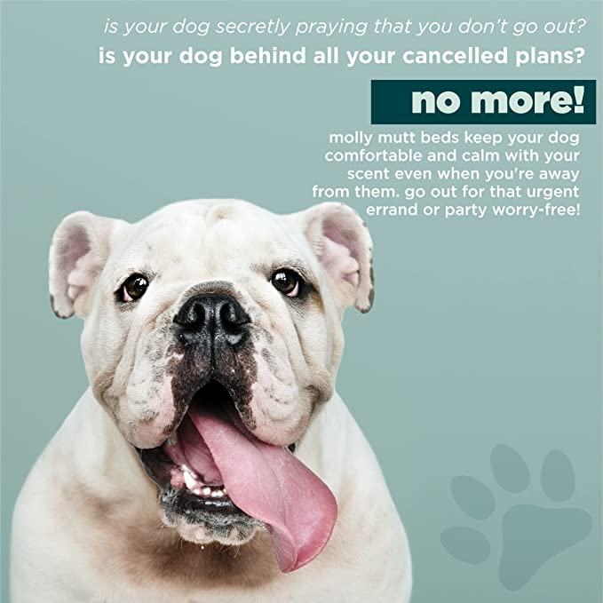 Molly Mutt Water-Resistant Dog Bed Liner, Polyester Bed Liner For Dogs, Easy To Clean, Gray, Huge, 36”X 45”X 4.75”