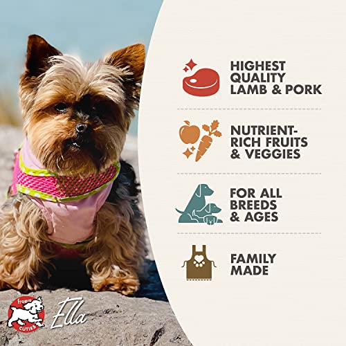 Fromm Four-Star Nutritionals Lamb & Lentil Dog Food - Premium Dry Dog Food - Lamb Recipe - 12 lb