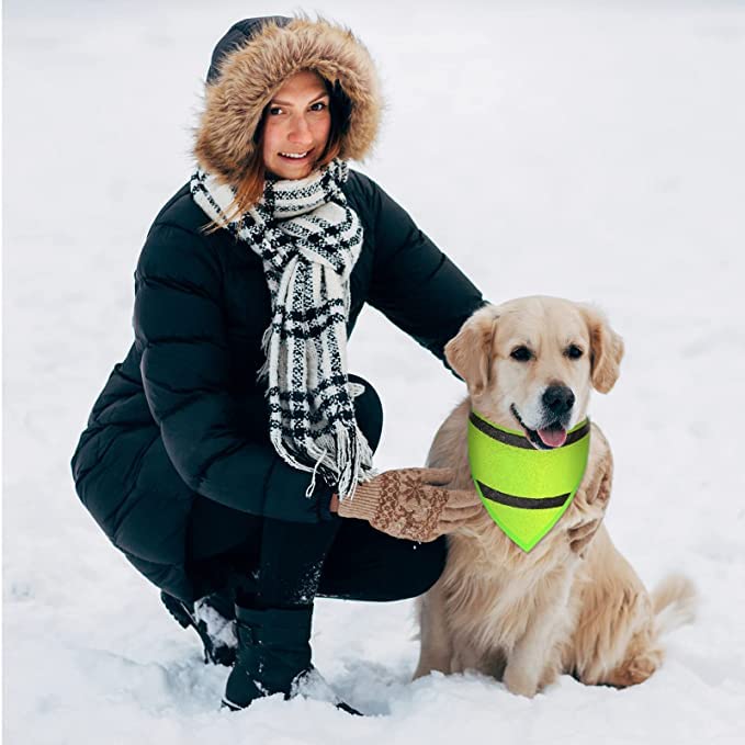 Encell Set of 2 Dog Bandana Reflective Scarf Safety Pet Hunting Bandana,Green,L