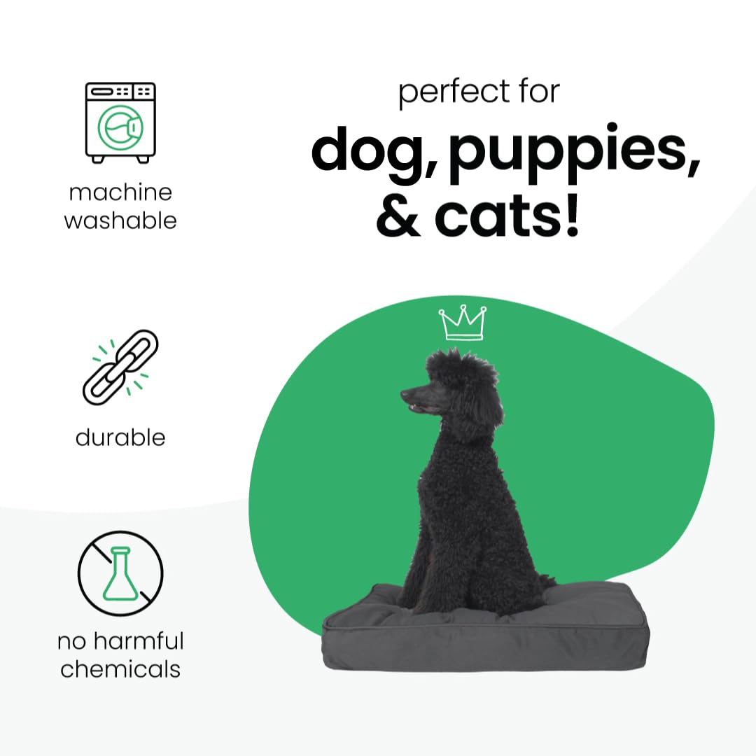 Molly Mutt Medium To Large Dog Bed Cover - Im A Realist Print - Measures 27   X36   X5 - 100% Cotton - Durable - Breathable - Su