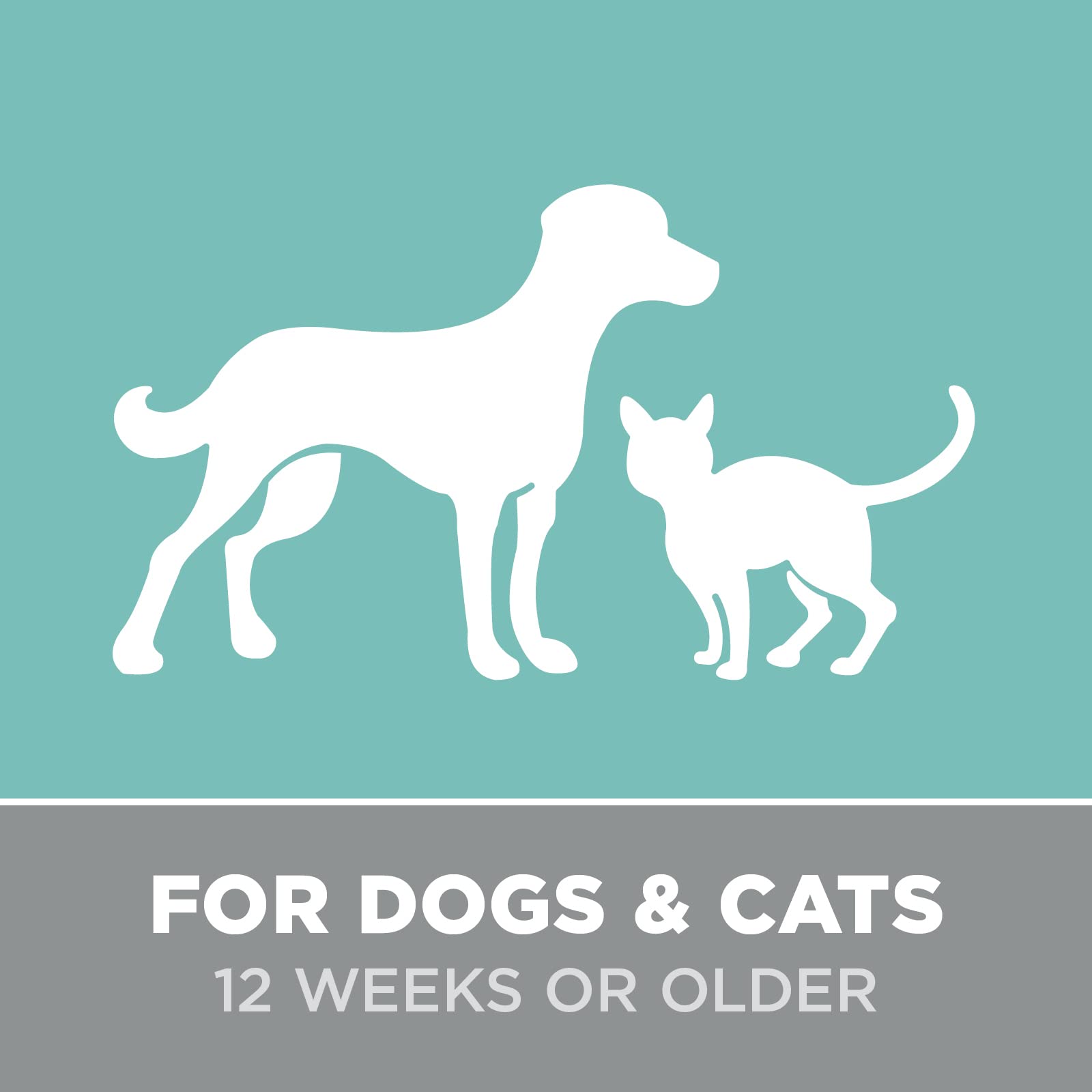 Groomer Essentials Mountain Fresh Cologne - 8 Oz