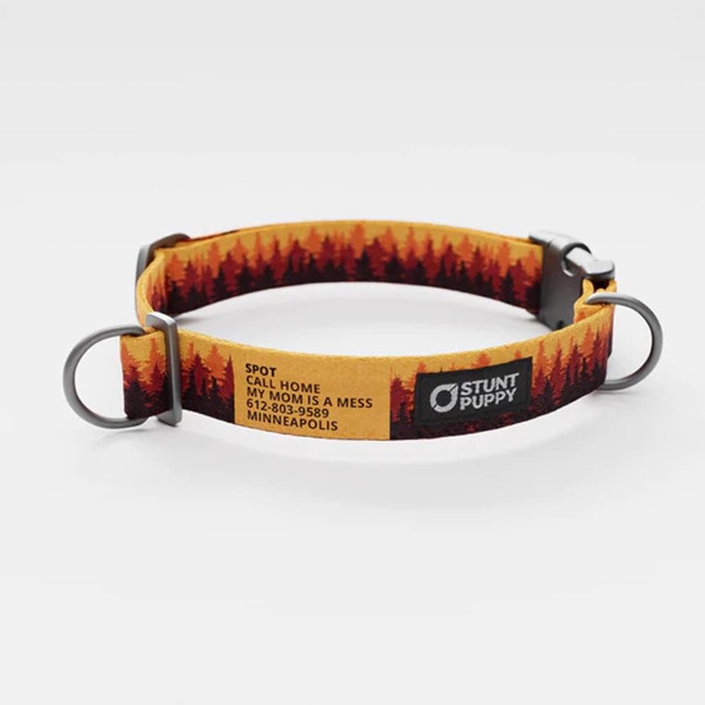 Pines Orange Everyday Collar, Large