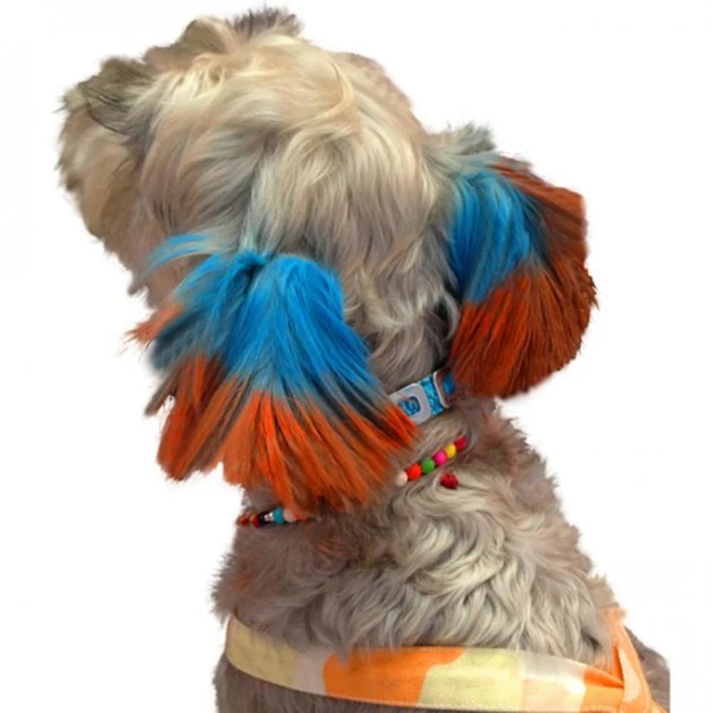 Opawz Pet Hair Chalk, Temporary Dog Hair Dye, Washable Pet Hair Dye, Pet Safe Dye For Creative Grooming (Red)