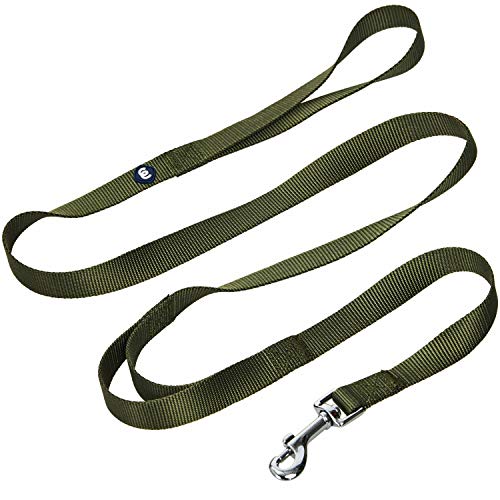 Blueberry Pet Essentials Durable Classic Dog Leash 5 Ft X 5/8', Military Green, Small, Double Handle Leashes For Dogs