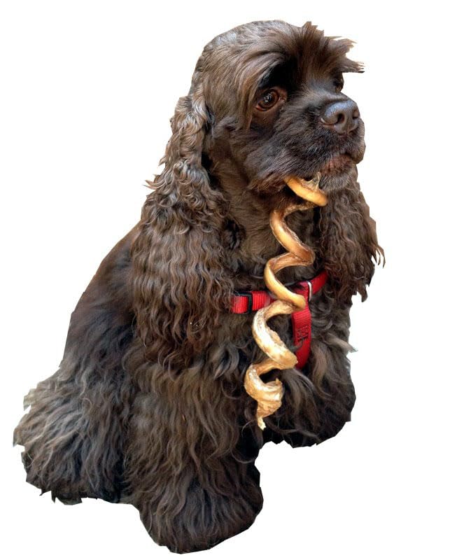 HDP Dental Floss Curly 4-6 Bully Sticks Made in USA Odor Free Size:Bag of 25