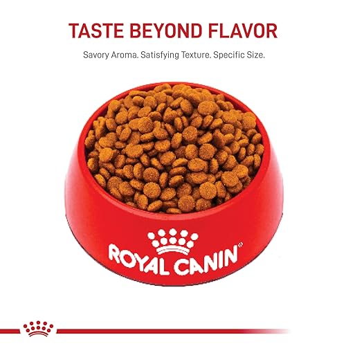 Royal Canin Size Health Nutrition Dry Large Breed Puppy Food, Supports Brain Development, Immune Support and Digestive Health, 3
