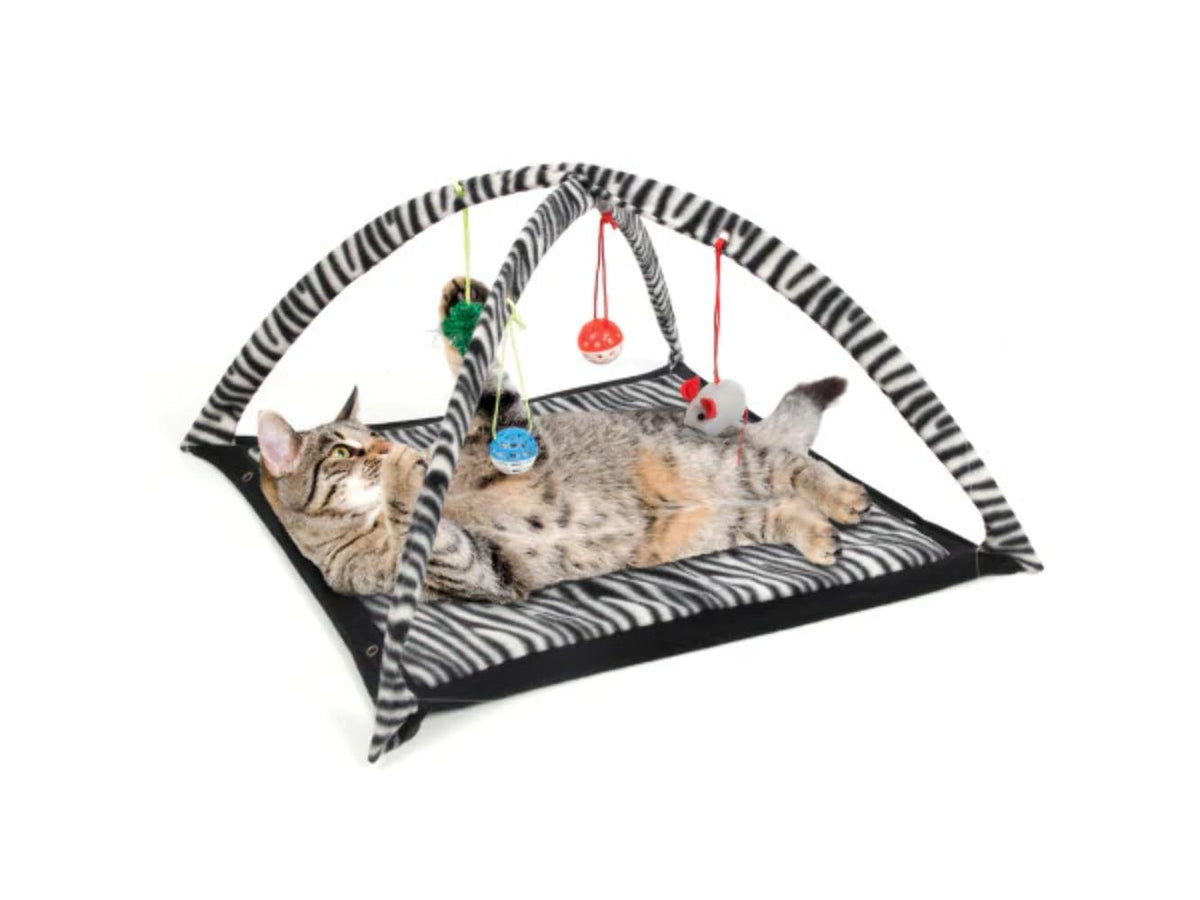 Delry Cat Play Tent (Available In A Pack Of 1)