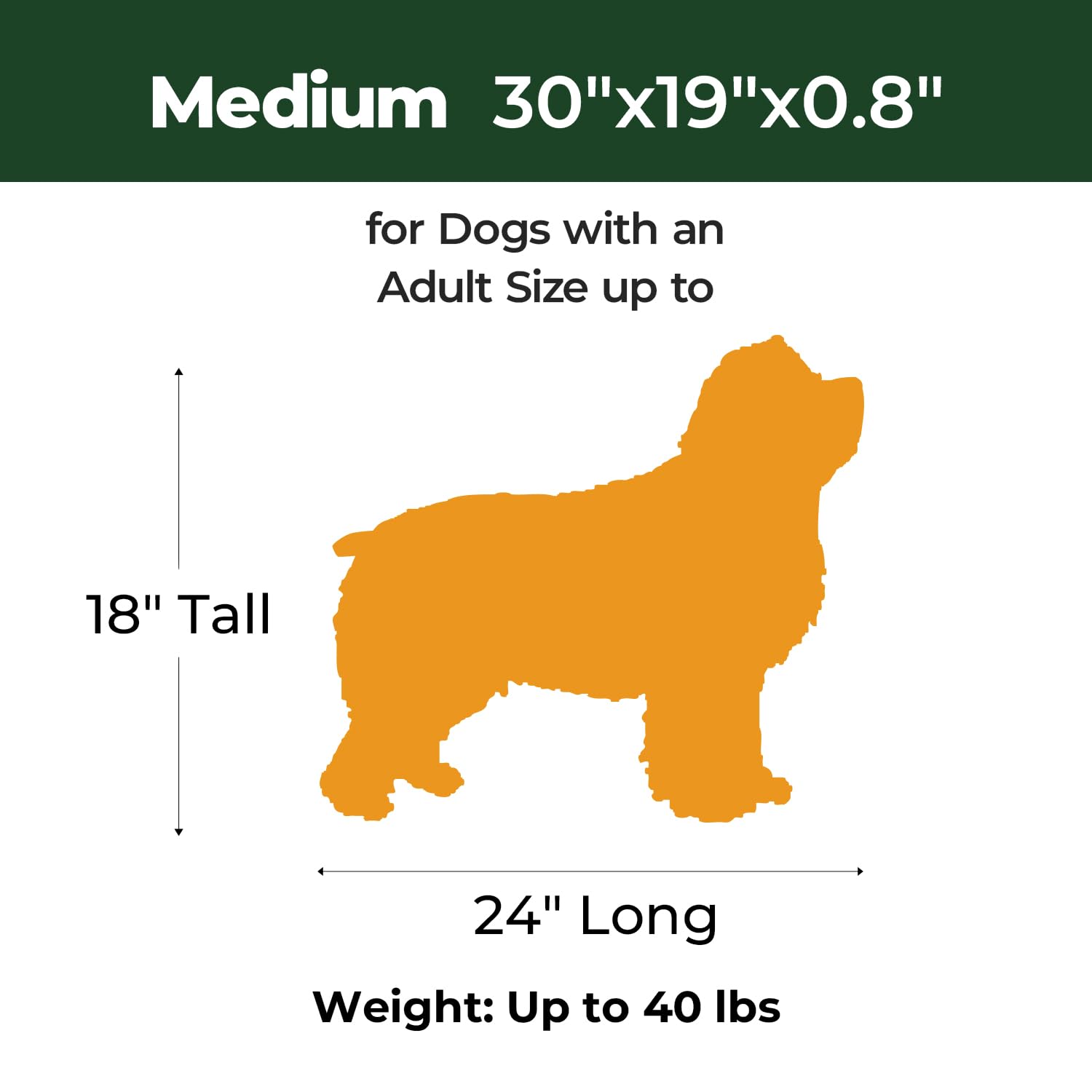 Balance Dog Crate Pad, Dog Foam Crate Mat Kennel Pad, Washable Water-Resistant Pet Bed Flat Dogs Cage Mat For Medium Dogs