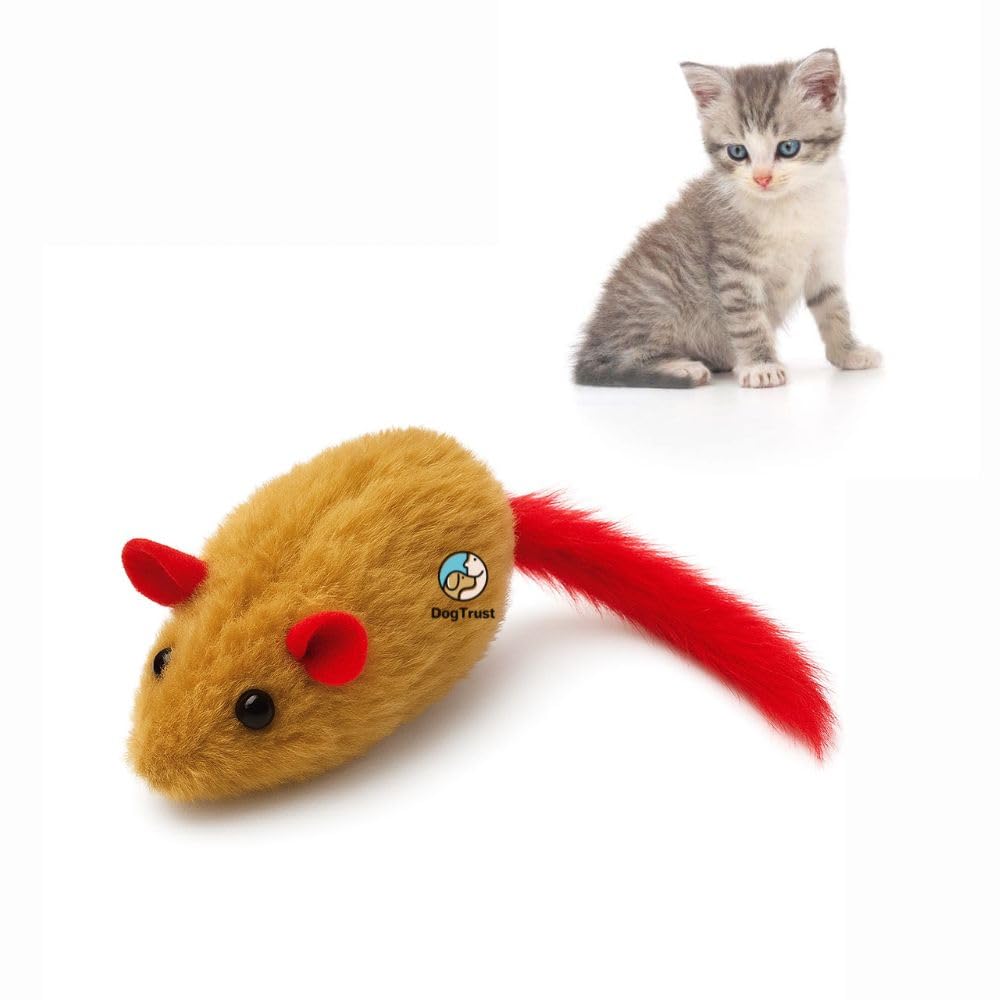 Dog Trust Cat Teaser Toy Door Hanging Mouse With Feather Tail  BuiltIn Sound, Adjustable Rope, Adhesive Hook For Indoor Cats &