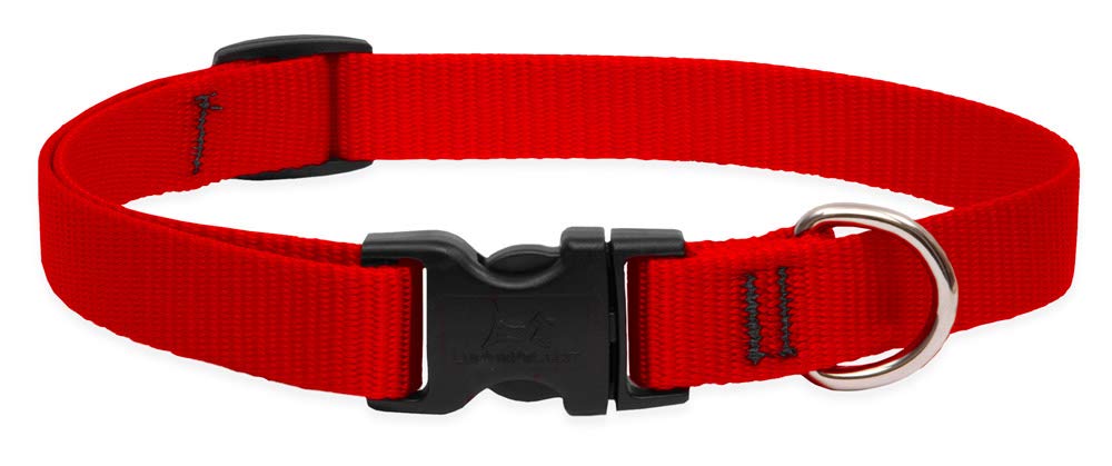 Lupinepet Basics 3/4' Red 9-14' Adjustable Collar For Small Dogs